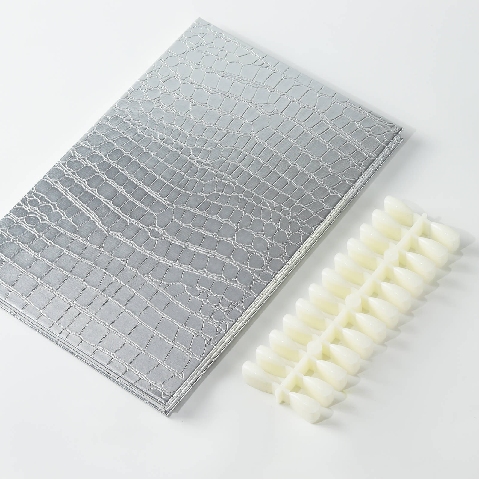 Silver Nail Swatch Book