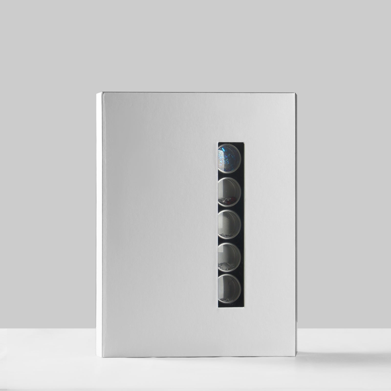 aluminum-clear-top-nail-art-storage-box-pro-show