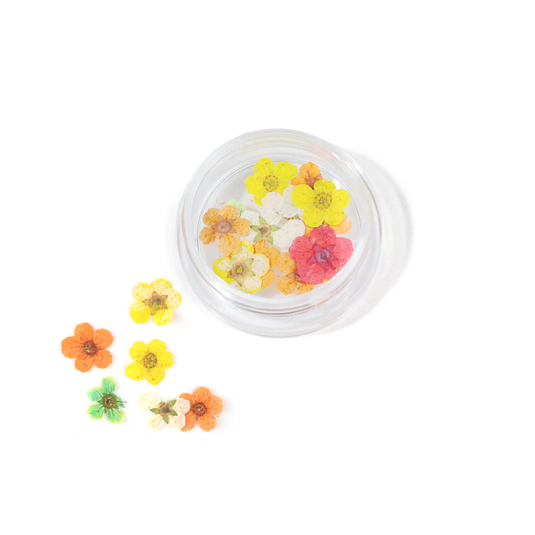 real-natural-dried-flower-nail-art-set