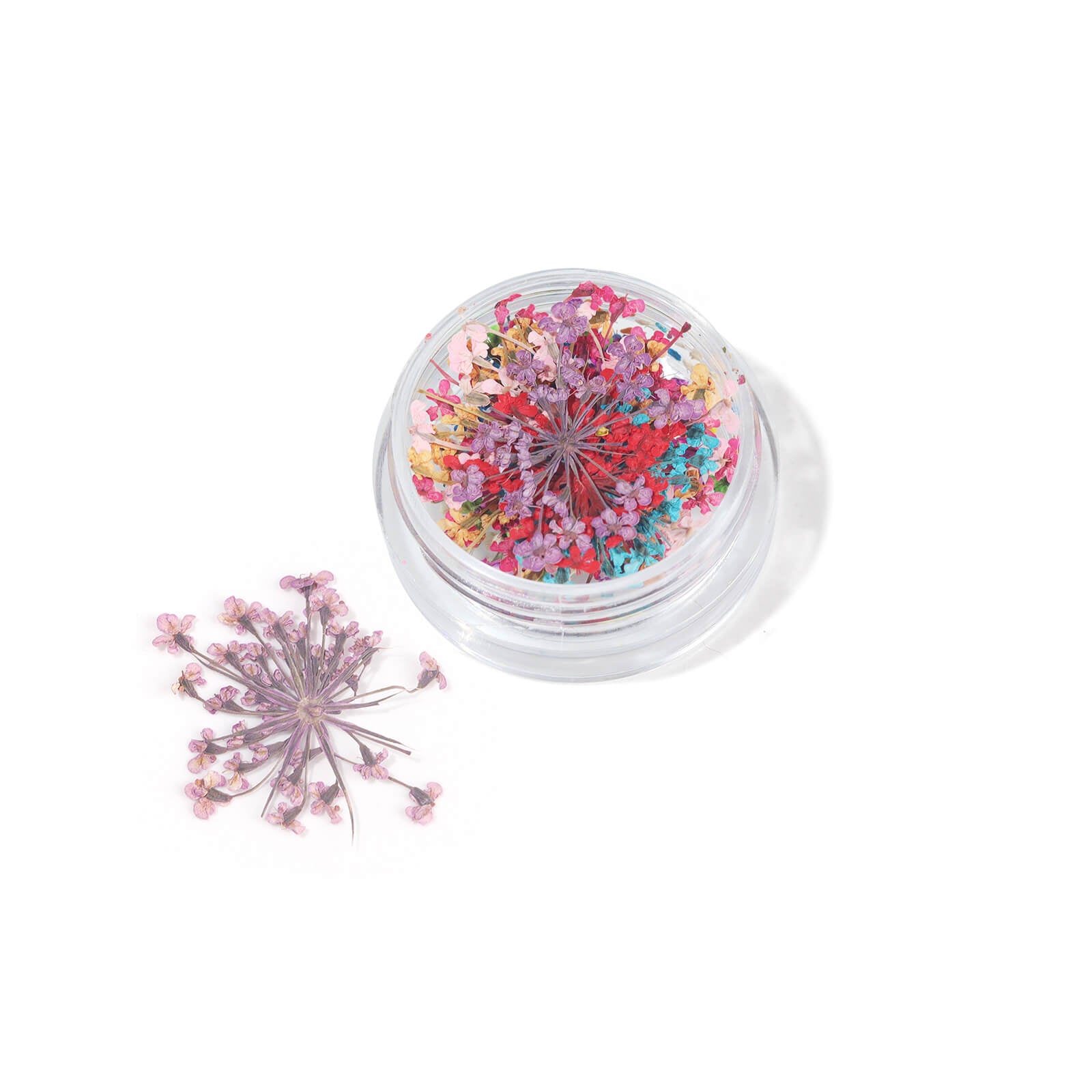 real-natural-dried-flower-nail-art-set