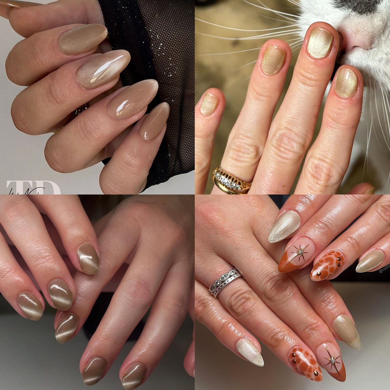Velvet-cat-eye-ge-VC02-customer-nail-designs