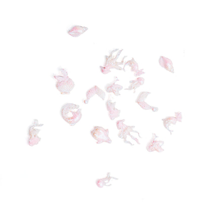 Sea Nail Charms Set