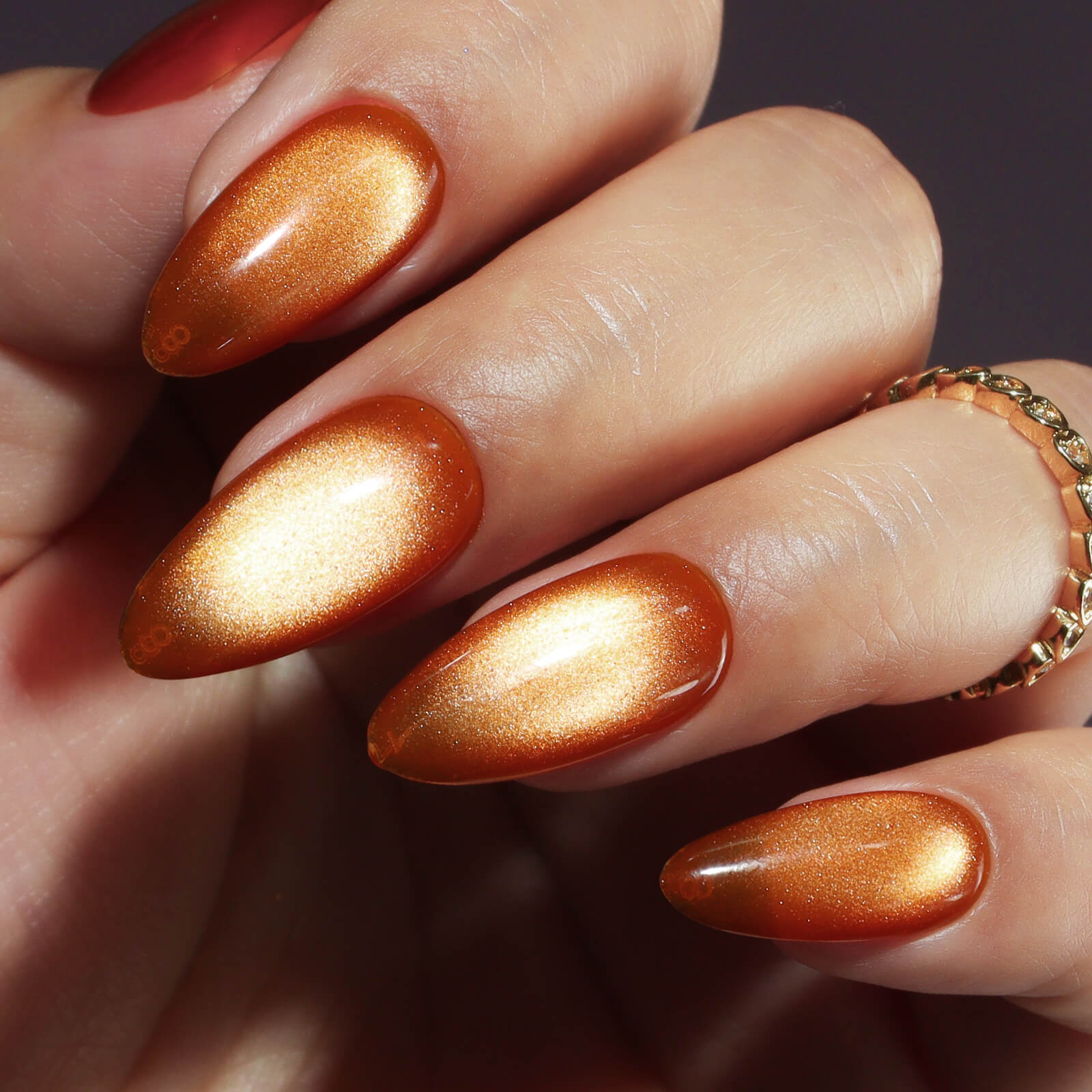 Hema-Free Orange Fruit Glaze Cat Eye Gel Nail Polish-FG02 | Vettsy