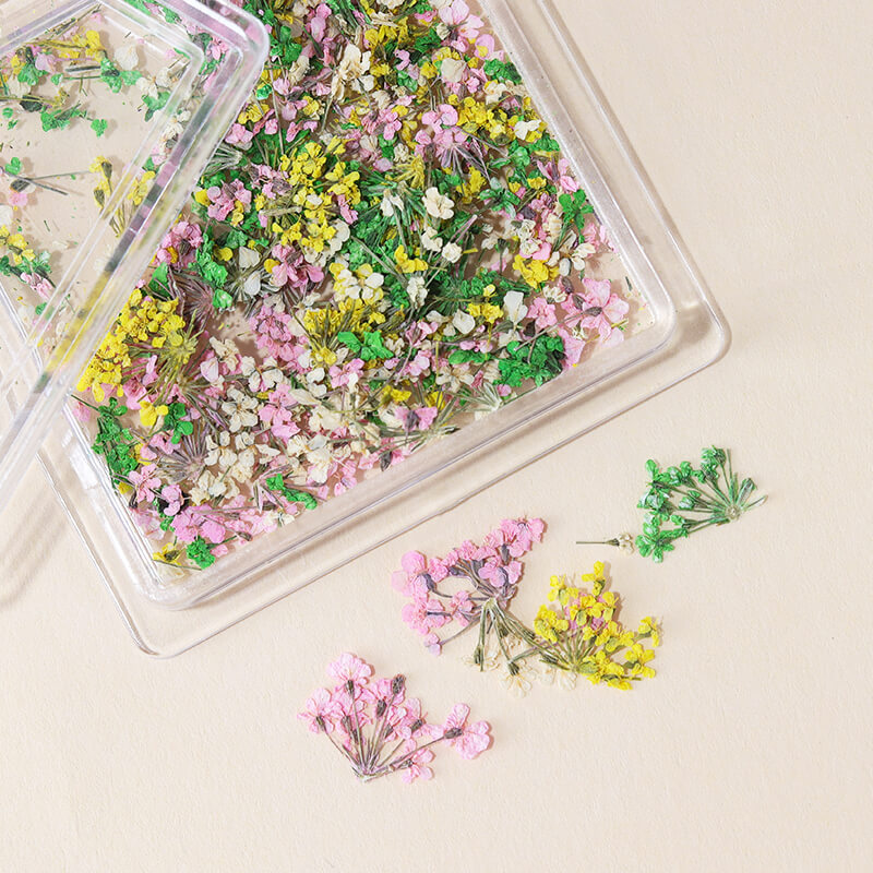 Natural Floral Nail Decorations Nail Art Dried FlowersSpring Vettsy