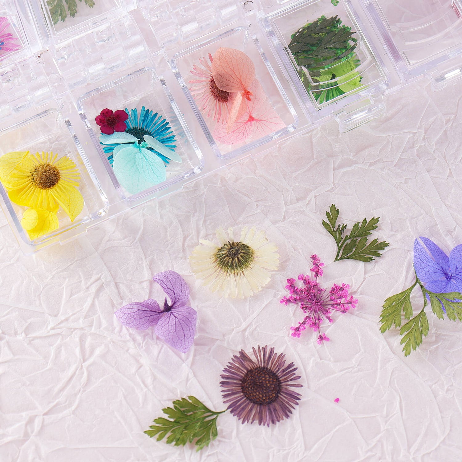 1 Box Dried Pressed Flowers For Resin Real Nature Flowers With