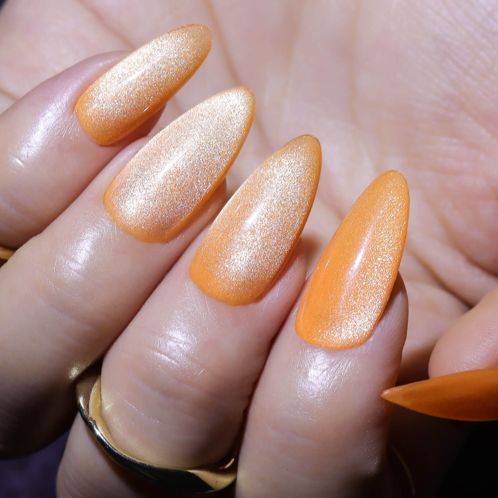highly-pigmented-luminous-cat-eye-magnetic-gel-polish-LC06